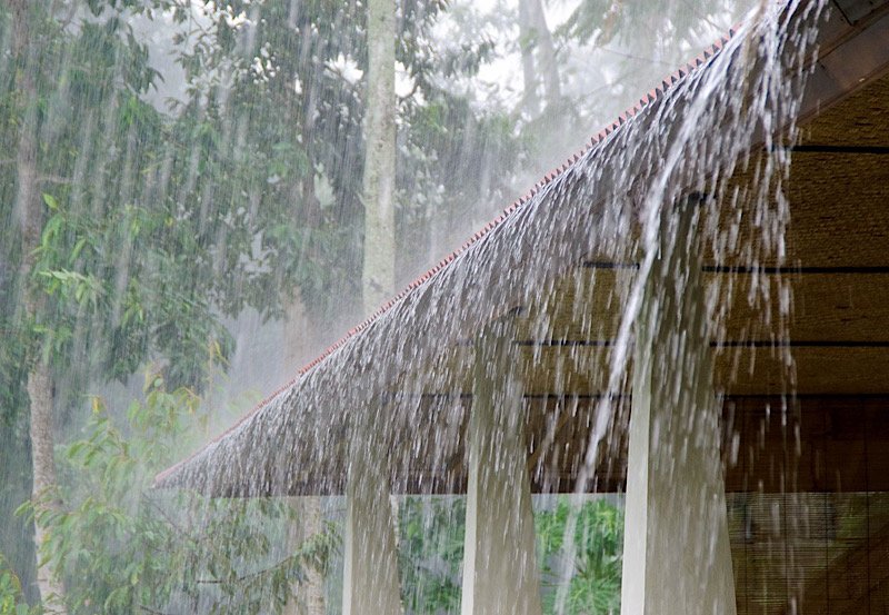 Continued showers above 100 mm and strong winds expected