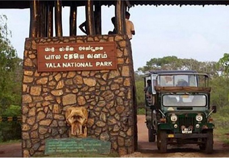 Yala National Park's main entrance shut down due to flooding