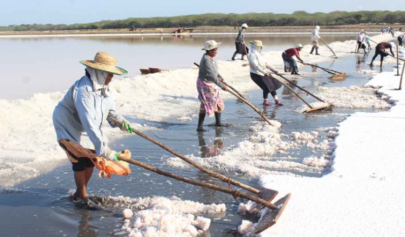 Cabinet Approves Import of Salt to address Current Shortage 