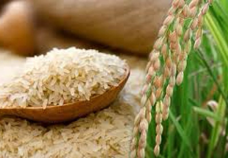 Sri Lanka&rsquo;s Agriculture Minister says no need to import rice