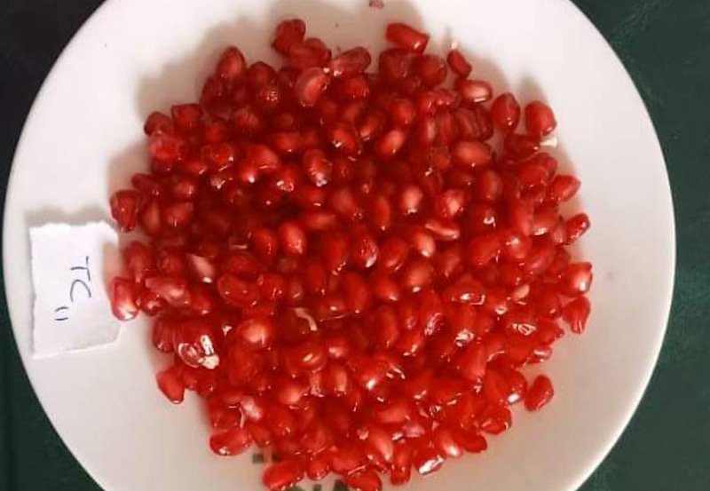 Sri Lanka introduces two new pomegranate varieties