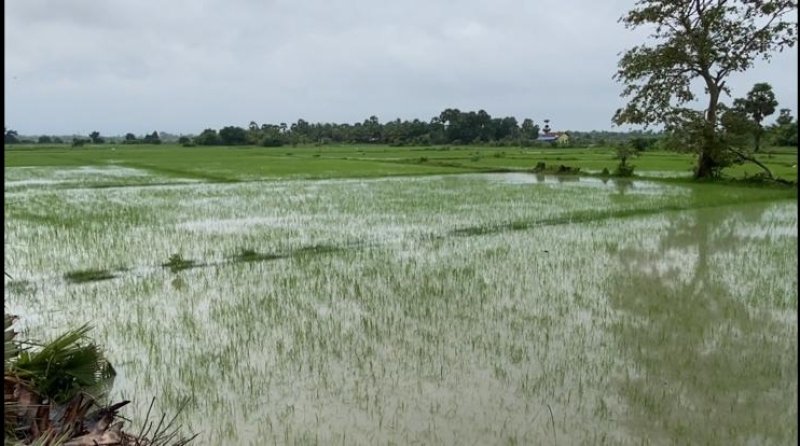 Matara Farmers to Get Flood Damage Compensation from May 27