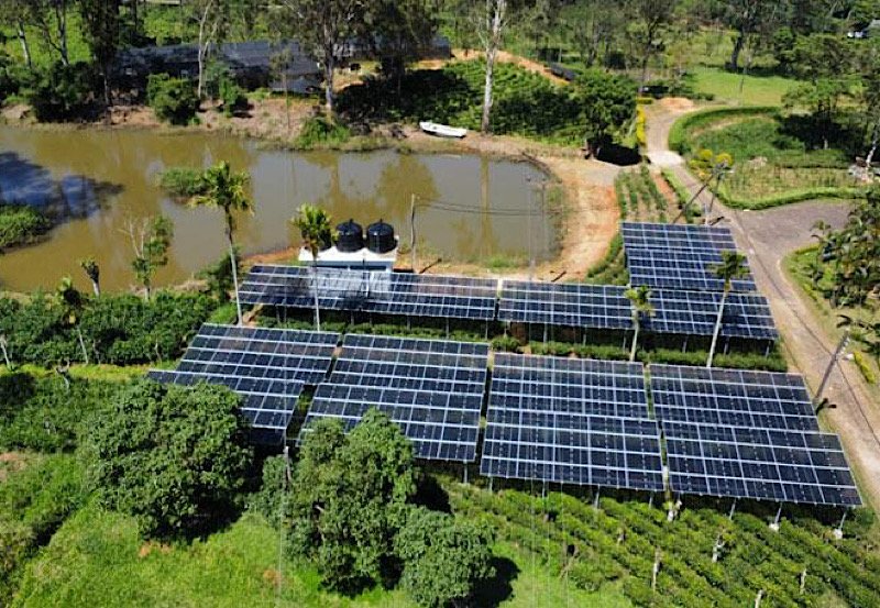 Sri Lanka unveils groundbreaking Agrivoltaic project