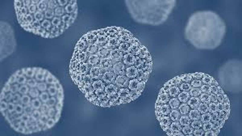 Respiratory Viral Fever Cases Rising Among Children