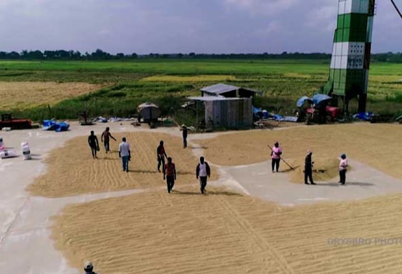 Sri Lanka mulls price controls for rice harvesters