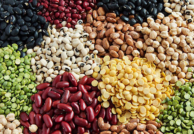 Sri Lanka set for maiden seed export venture