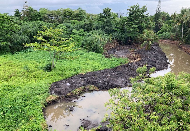New laws to protect wetlands in Sri Lanka announced