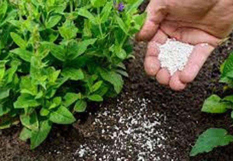 Agriculture Ministry orders fertilizer price reduction