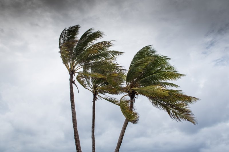 Meteorology Department Issues Amber Warning for Strong Winds