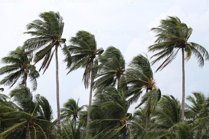 Amber Advisory Issued Warning of Strong Wind Several Areas