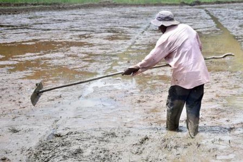 Irrigation Dept urges farmers to conserve water