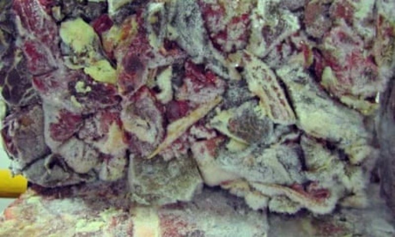 Over 12 tonnes of spoiled meat seized in Anuradhapura
