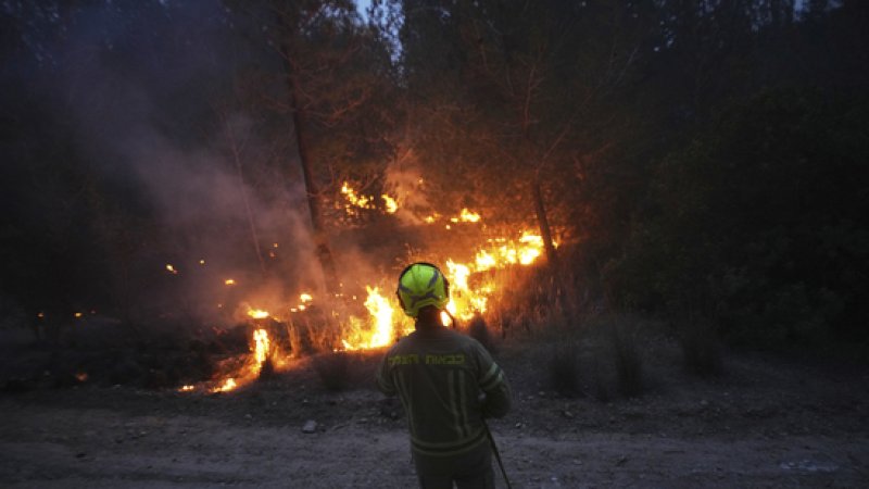 Wildfires trigger emergency in Israel, Jerusalem at risk