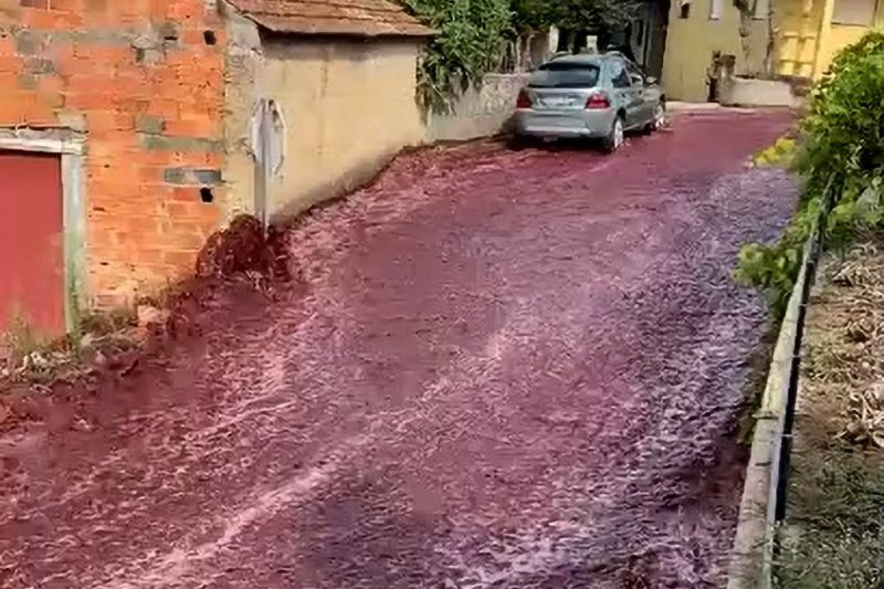 River of Red Wine Floods Streets in Portuguese Town 