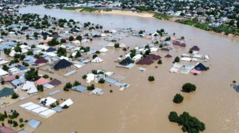 International-News