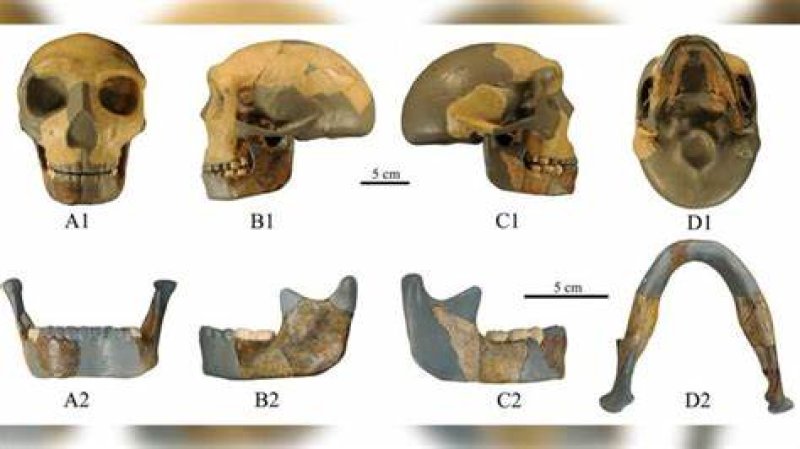 300,000-year-old skull found in China