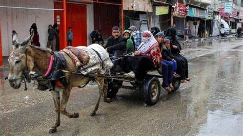 Israel orders Gazans to evacuate part of Rafah 