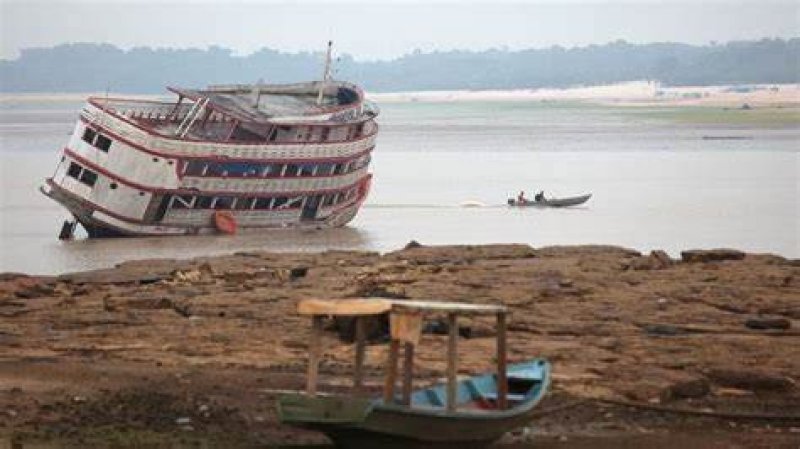 Amazon rivers fall to lowest levels in 121 years