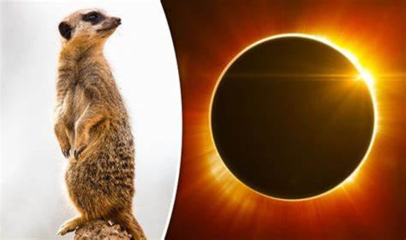 Four minute window into the universe's secrets