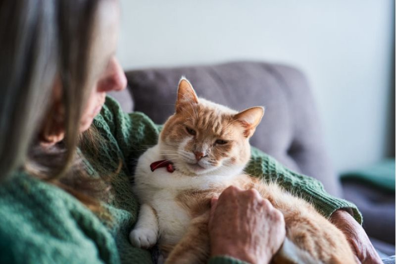 Pets could help reduce dementia risk in older people