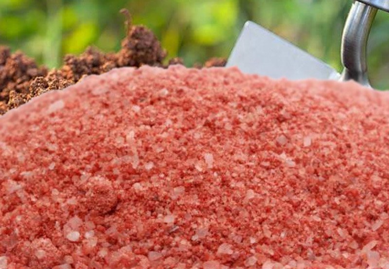 Farmers to get MOP fertilizer free of charge