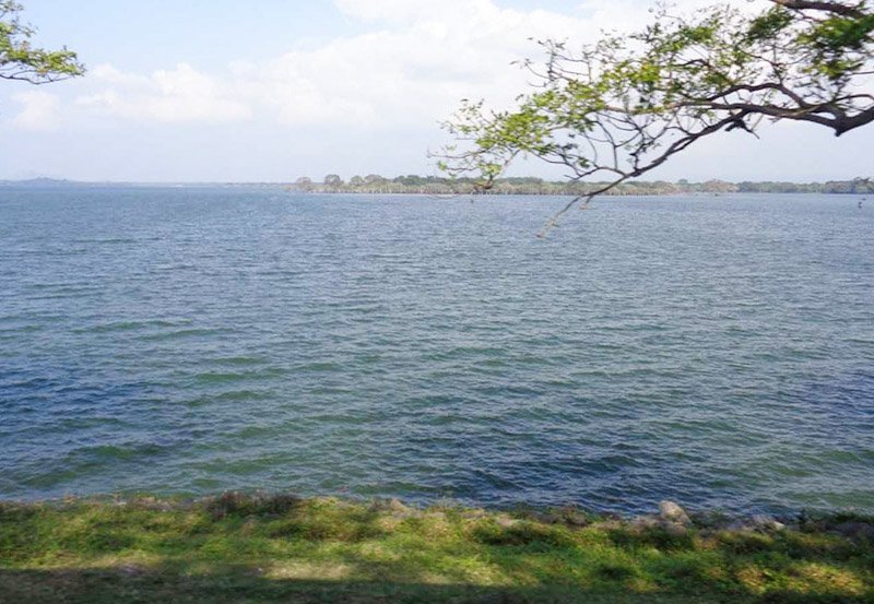 Cabinet nod to release water for agricultural purposes