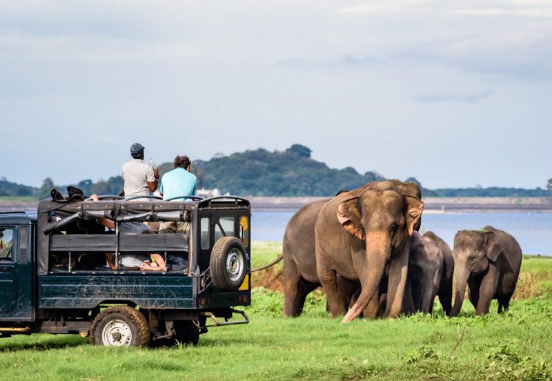Sri Lanka aims to attract five million tourists by 2024