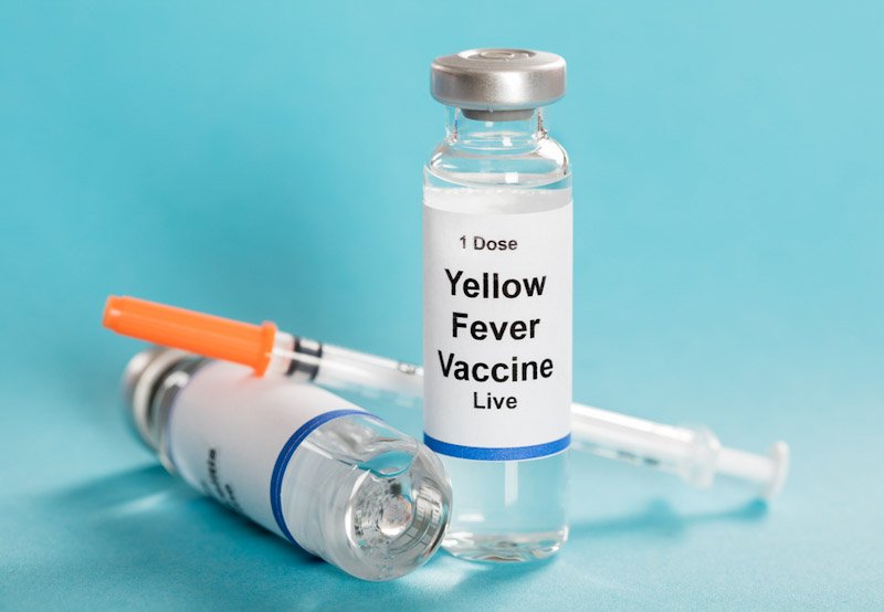 Yellow fever vaccines in shortage; procurement underway