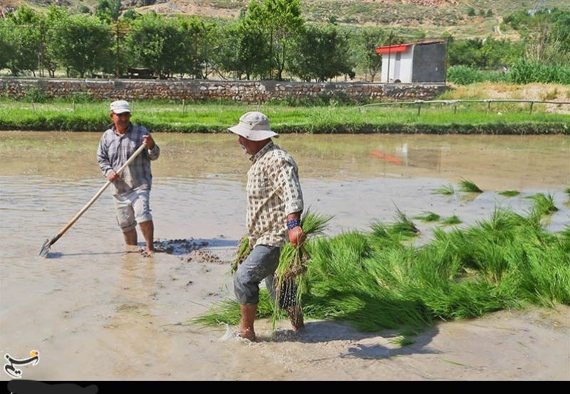 Farmers urged to be vigilant against Leptospirosis