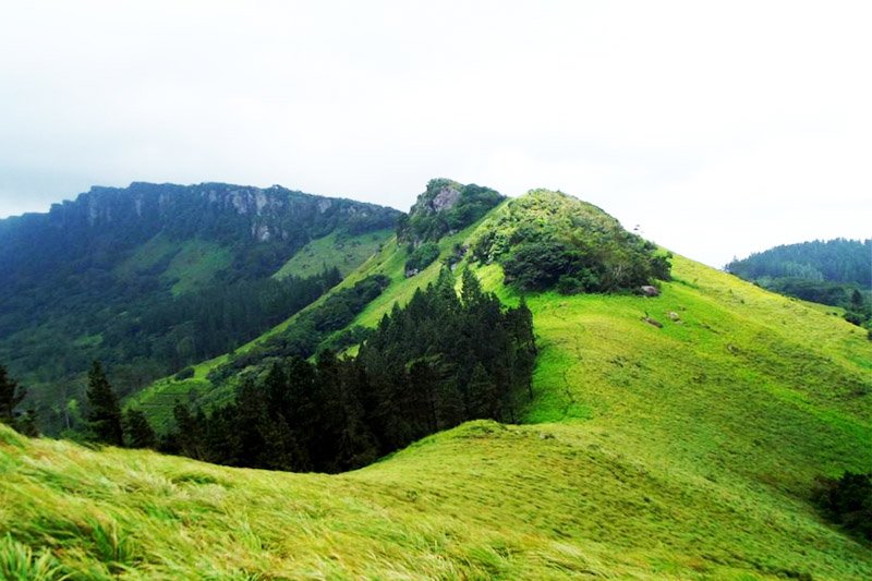 Medical students stranded in Hantana mountains rescued 