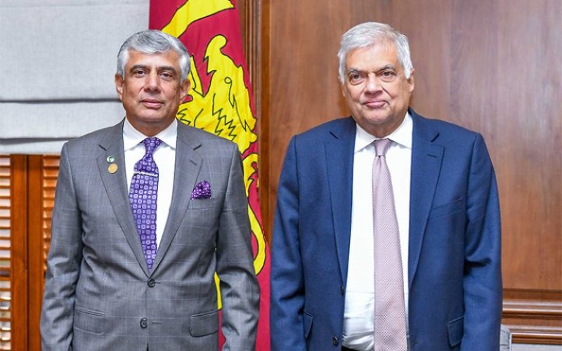 Pakistan&rsquo;s Defence Secretary calls on President