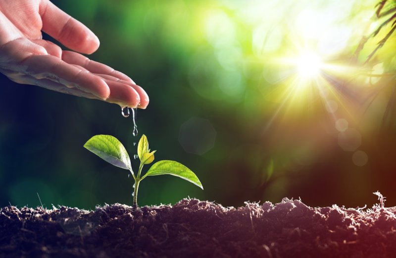 SL marks World Environment Day with national programme 