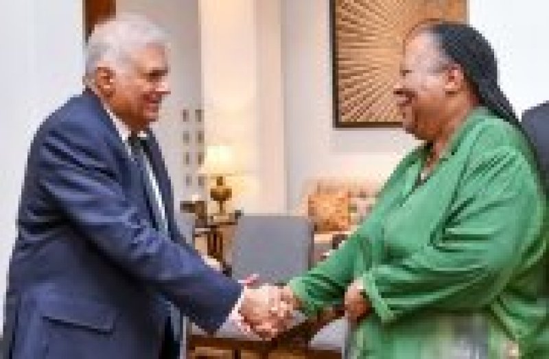 South Africa&rsquo;s  Foreign Affairs Minister calls on President