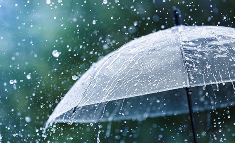 Heavy showers above 100 mm likely in some provinces