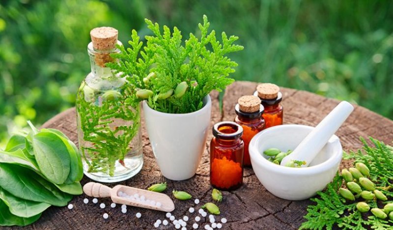Sri Lanka to Enhance Homeopathy&rsquo;s Role in Healthcare System