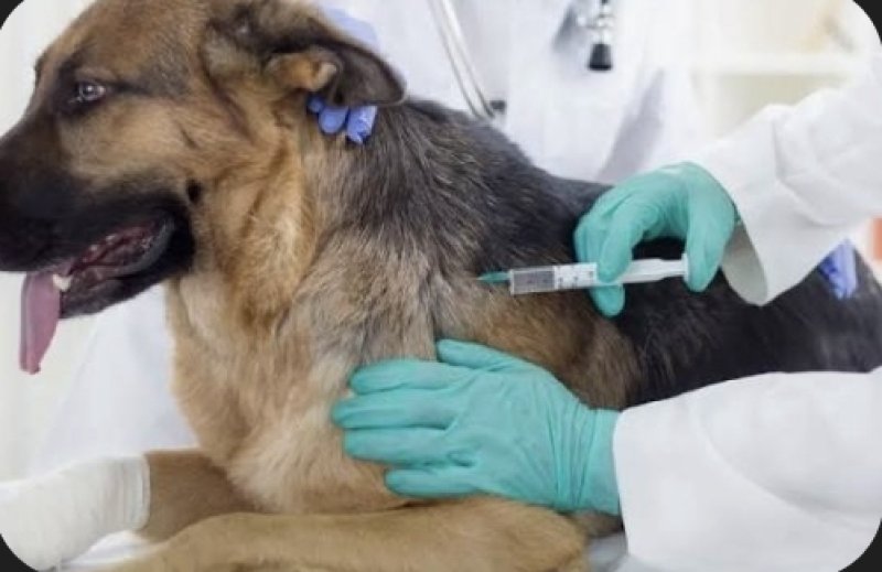 1,787 animals vaccinated in Anuradhapura