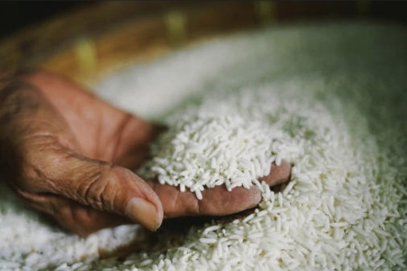 ​Farmers allege annual artificial rice shortages