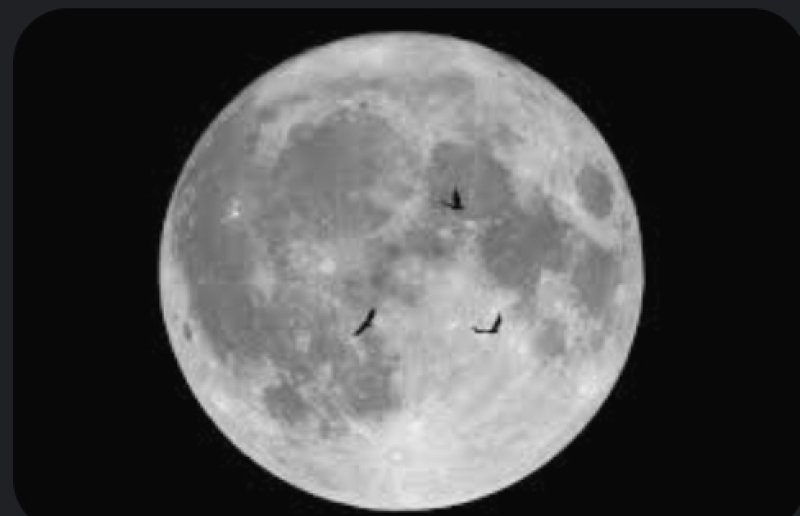Supermoon brightens Vap Poya night