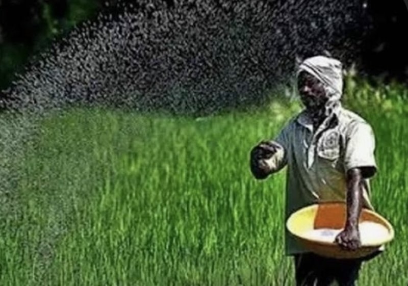 Cabinet approves Rs. 5 billion additional fertilizer subsidy