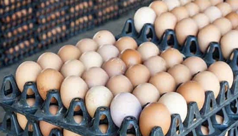 Price of eggs reduced by Rs. 10