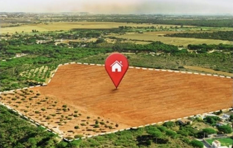 Cabinet approves transfer of lands for uni development
