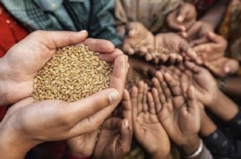 Over 180,000 children in Sri Lanka malnourished