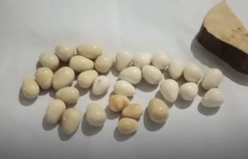 Man nabbed in Mahiyanganaya with elephant pearls 