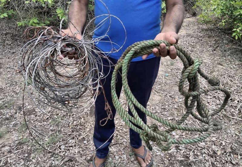 Nearly 100 traps removed from Lahugala National Park
