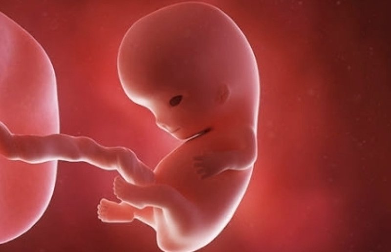 Part of fetus found in Peradeniya University women&rsquo;s hostel