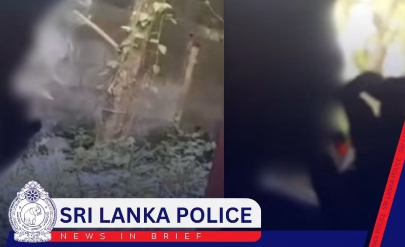 Police probe video of 11-year-old allegedly using drugs