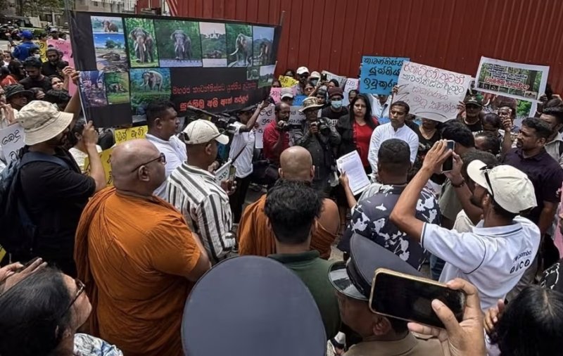 Environmentalists protest over Kavantissa&rsquo;s death