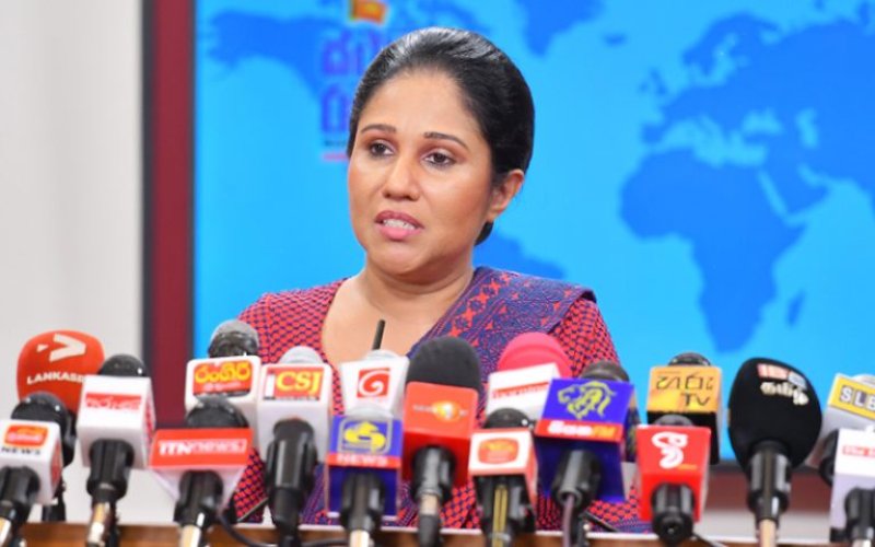 Percentage of Dengue cases and deaths reduced