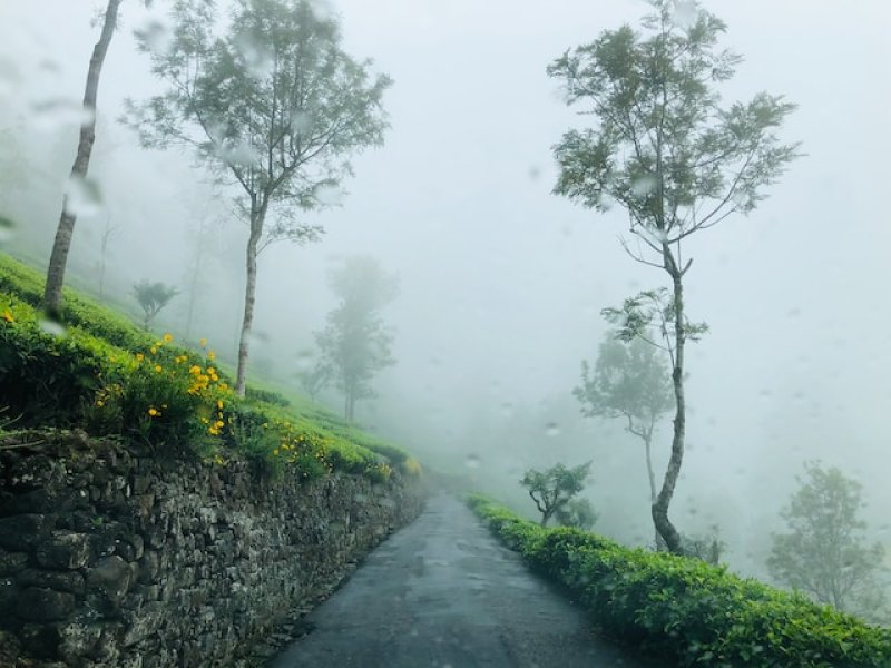 Showers, Winds, and Misty Conditions Across Sri Lanka