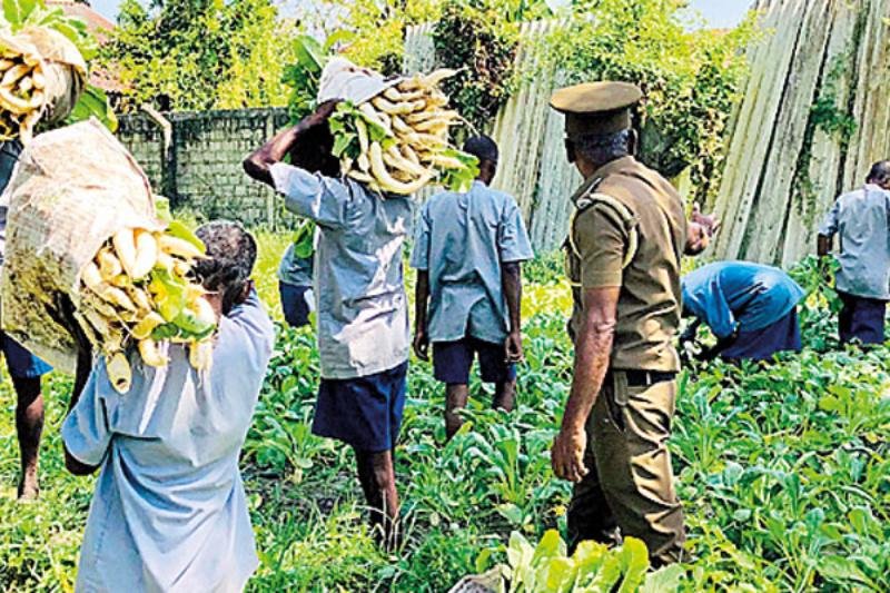Prison inmates generate RS. 253 million in revenue